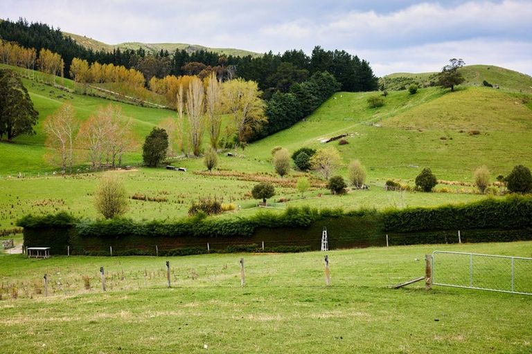 Photo of property in 66 Deer Park Road, Cheviot, 7310