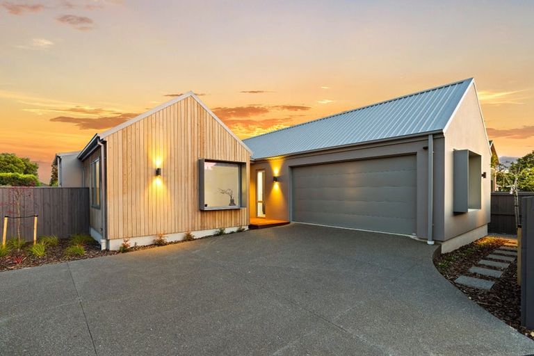 Photo of property in 17 Bradshaw Terrace, Riccarton, Christchurch, 8011