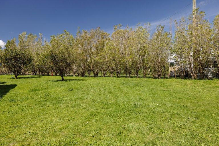 Photo of property in 77 Turner Road, Whakamarama, Katikati, 3181