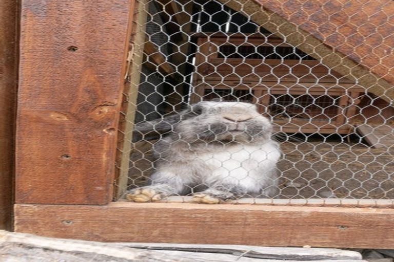 Photo of property in 43 Church Street, Oxford, 7430