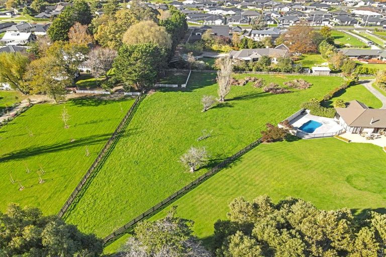 Photo of property in 7b Sherwill Street East, Feilding, 4702