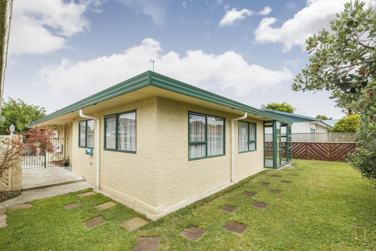 Photo of property in 24a Windsor Street, Terrace End, Palmerston North, 4410