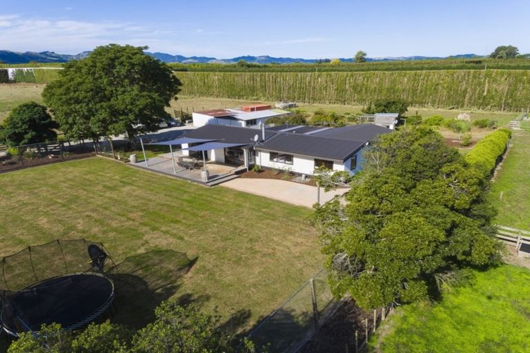 Photo of property in 156 Wharekopae Road, Patutahi, Gisborne, 4072
