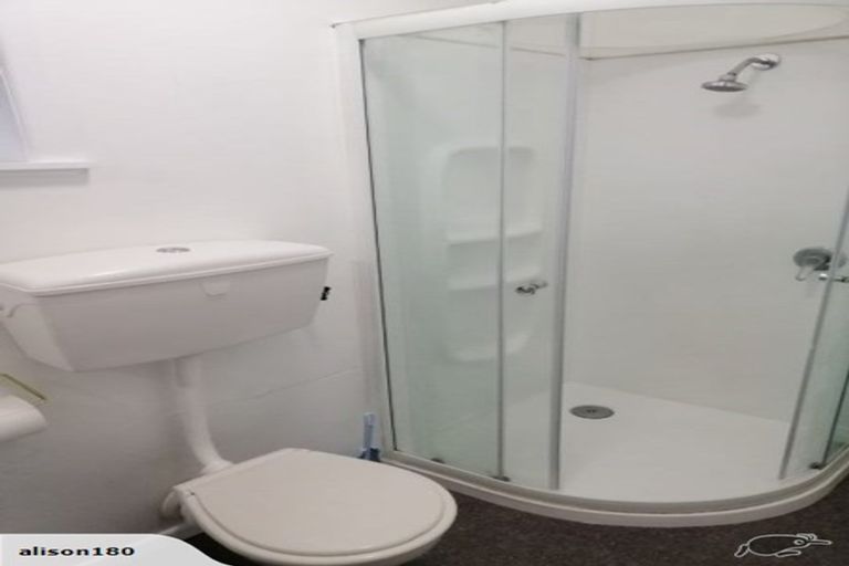 Photo of property in 13 Mortimer Terrace, Aro Valley, Wellington, 6021