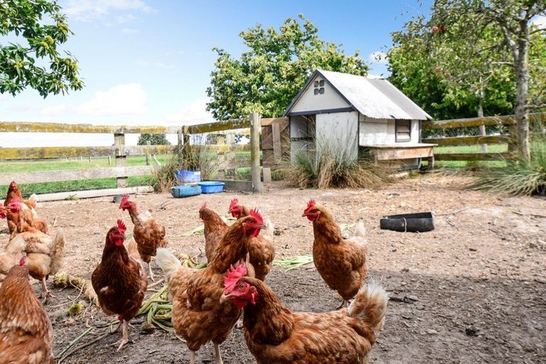 Photo of property in 1233a Gordonton Road, Gordonton, Taupiri, 3791