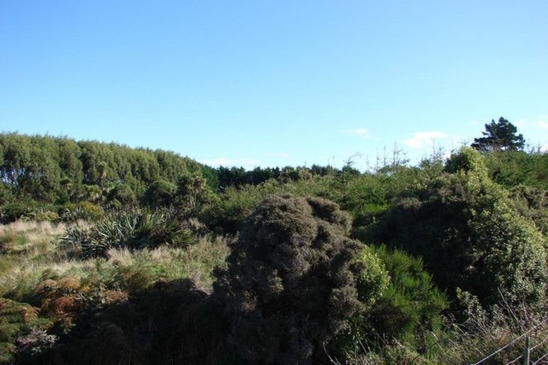 Photo of property in 782 Haldane Curio Bay Road, Curio Bay, Tokanui, 9884