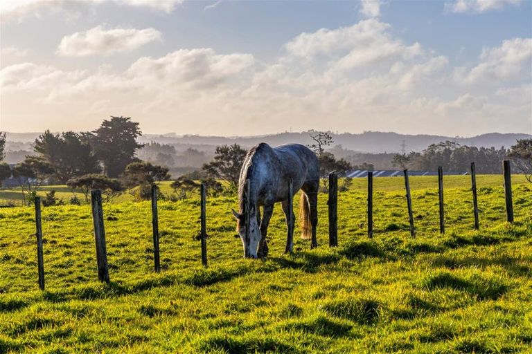 Photo of property in 93 Nixon Road, Taupaki, 0782
