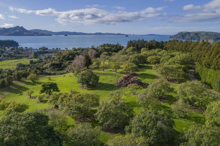 Photo of property in 899f Purangi Road, Cooks Beach, Whitianga, 3591