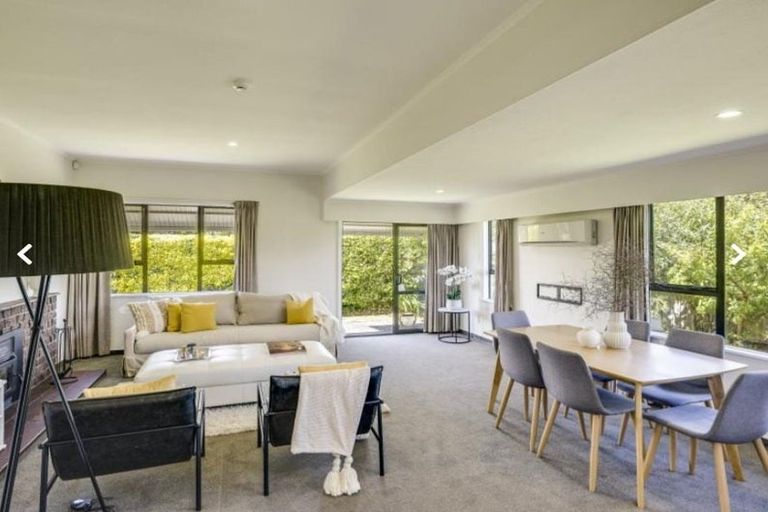 Photo of property in 900 Duke Street, Mahora, Hastings, 4120