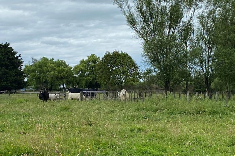 Photo of property in 156 Kawakawa Road, Feilding, 4775