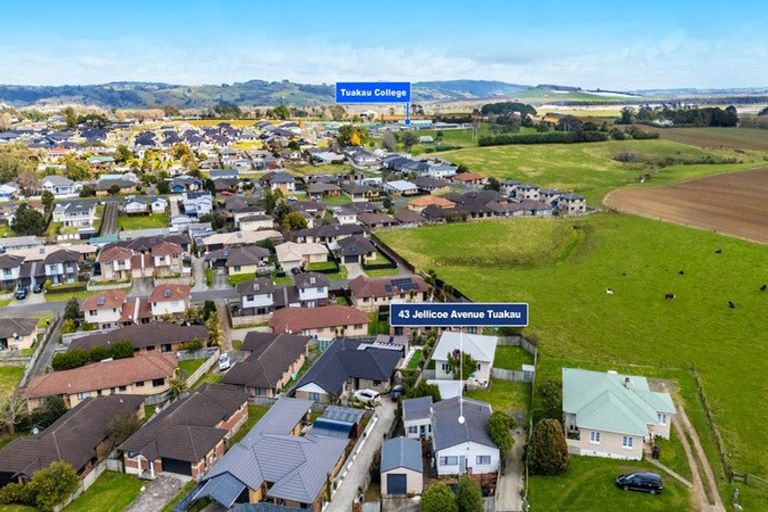 Photo of property in 43 Jellicoe Avenue, Tuakau, 2121