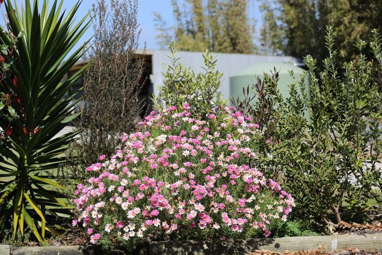 Photo of property in 70 Parore Street, Parore, Dargaville, 0372