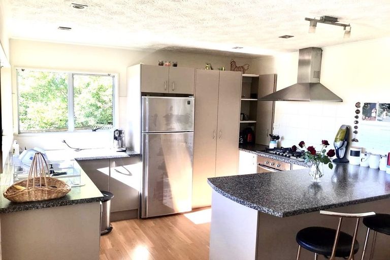 Photo of property in 1 Remus Place, Totara Vale, Auckland, 0629