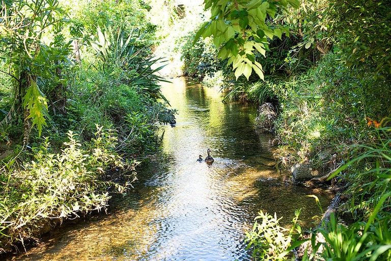 Photo of property in 259 Middleton Road, Glenside, Wellington, 6037