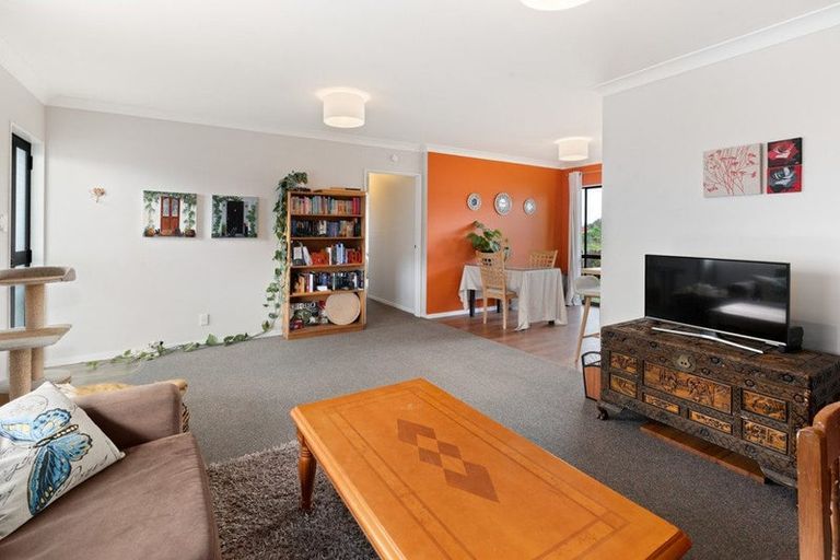 Photo of property in 8d Shoalhaven Street, Paeroa, 3600