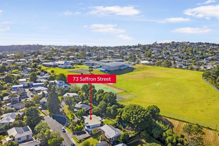Photo of property in 73 Saffron Street, Birkdale, Auckland, 0626