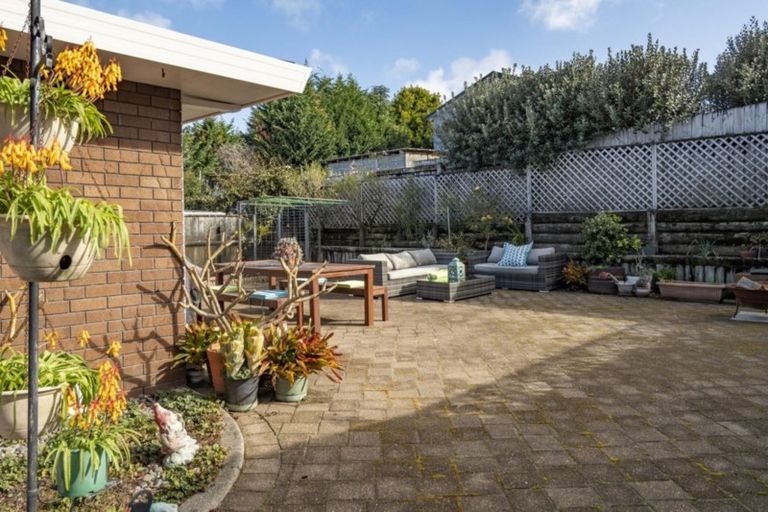 Photo of property in 64b Seventh Avenue, Tauranga, 3110