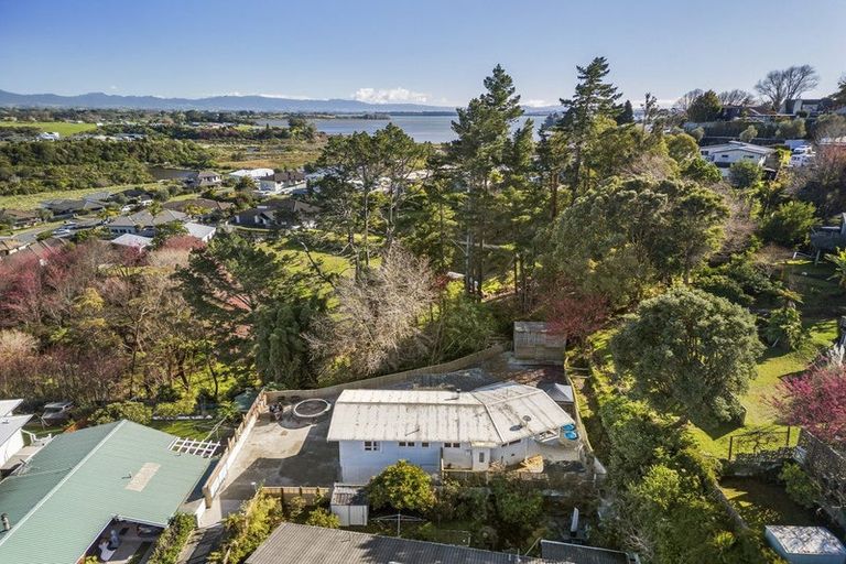 Photo of property in 11 Graham Place, Bellevue, Tauranga, 3110