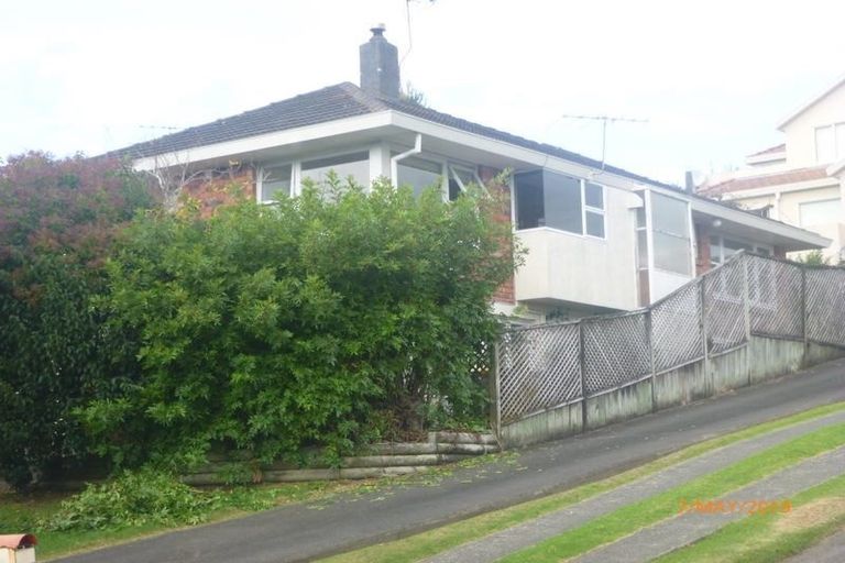 Photo of property in 20 Alton Avenue, Hillcrest, Auckland, 0627