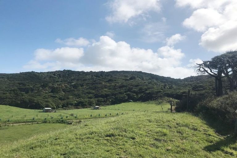 Photo of property in 1809 Whaanga Road, Raglan, 3296