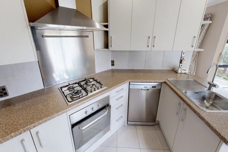 Photo of property in 53a Limbrick Street, Terrace End, Palmerston North, 4410