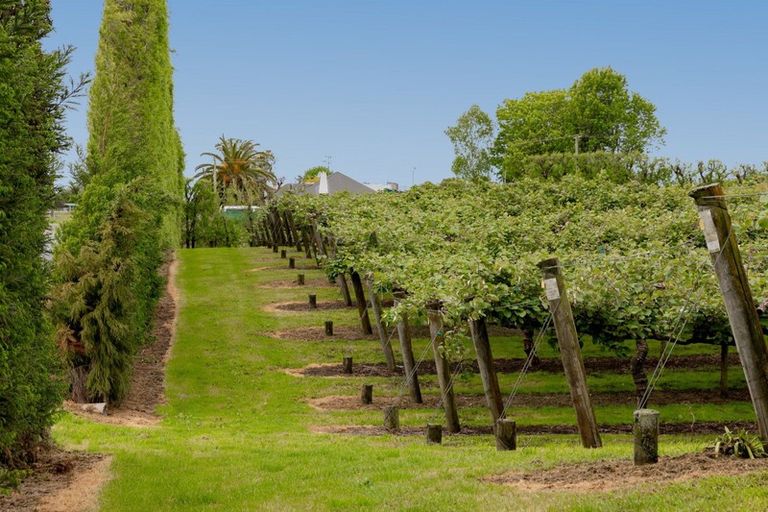 Photo of property in 29 Lemon Road, Paengaroa, Te Puke, 3189