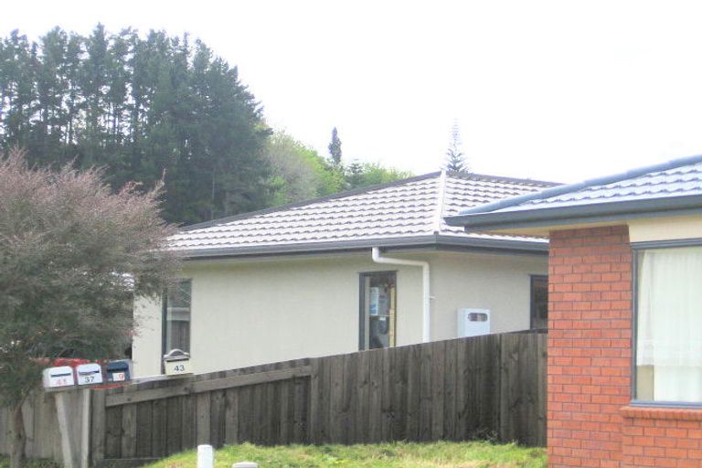 Photo of property in 43 Lisa Place, Brookfield, Tauranga, 3110