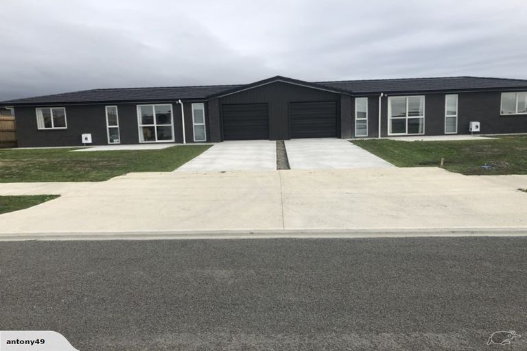 Photo of property in 87 Hinemoa Street, Levin, 5510