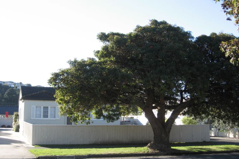 Photo of property in 13 Logan Avenue, Marewa, Napier, 4110