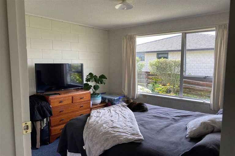 Photo of property in 1b Snell Street, Morrinsville, 3300