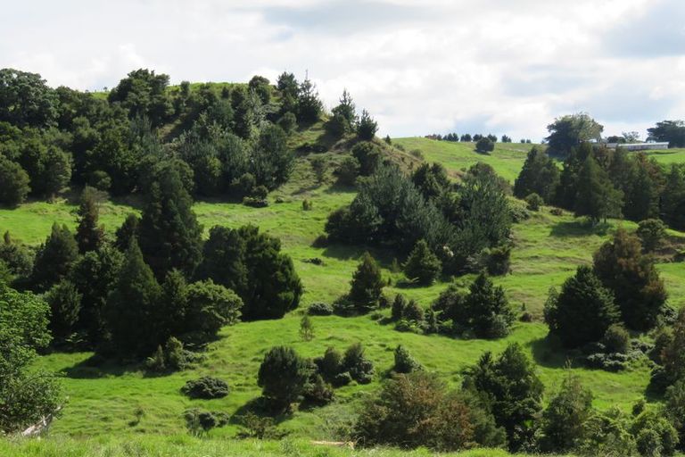 Photo of property in 239 Taratara Road, Kaeo, 0479