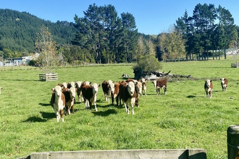 Photo of property in 11 Millett Road, Whangaripo, Wellsford, 0972