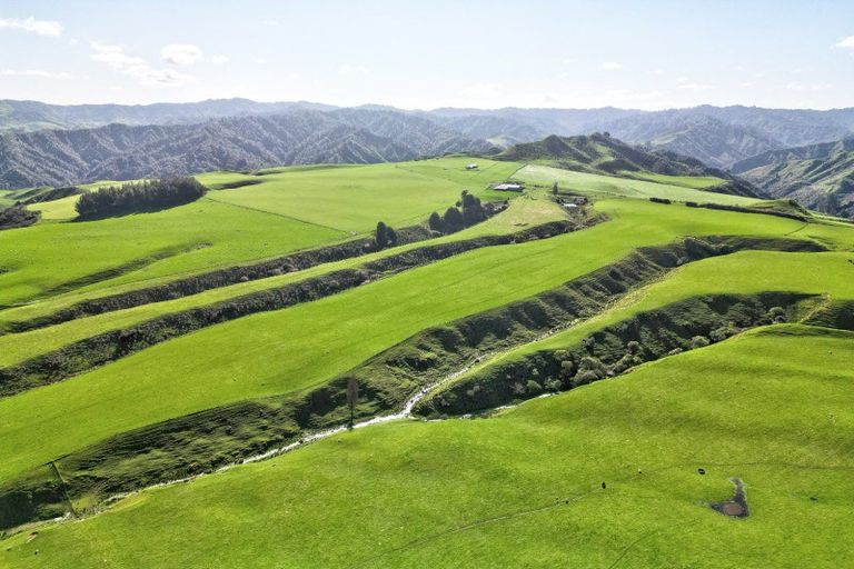 Photo of property in 918 Makakaho Road, Ngamatapouri, 4588