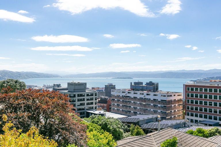 Photo of property in 19a Central Terrace, Kelburn, Wellington, 6012