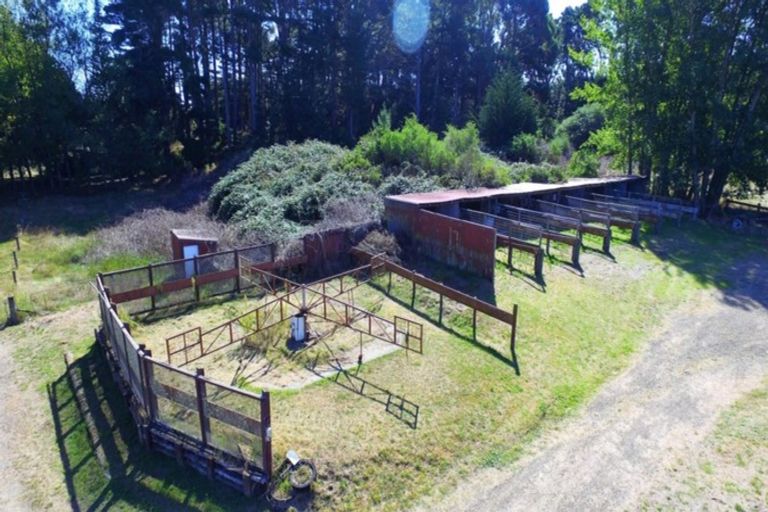 Photo of property in 40 Palmer Road, Foxton Beach, Foxton, 4891