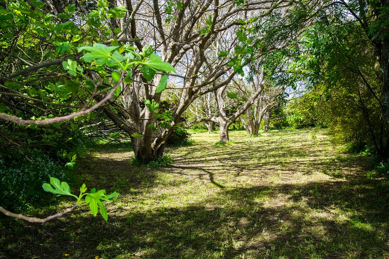 Photo of property in 22 Hill Road, Ormond, Gisborne, 4071