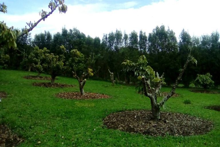 Photo of property in 6 Pukeatua Road, Maungatapere, Whangarei, 0179