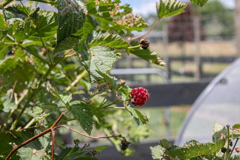 Photo of property in 26c Kauri Lane, Huntly, 3771