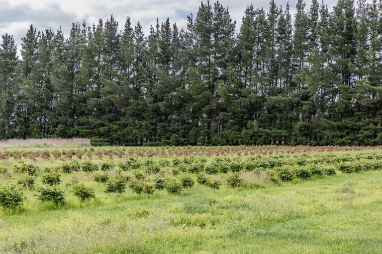 Photo of property in 498 North Eyre Road, Swannanoa, Rangiora, 7476