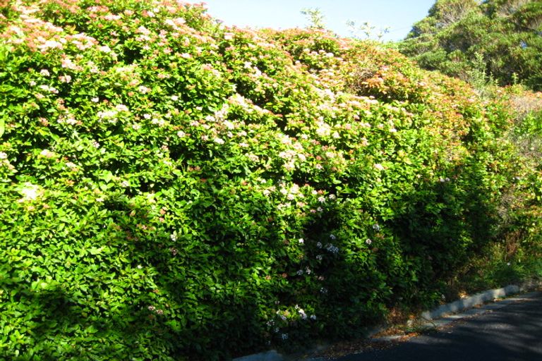 Photo of property in 9 Picardy Street, Maryhill, Dunedin, 9011