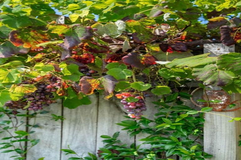 Photo of property in 10b Citrus Avenue, Waihi Beach, 3611