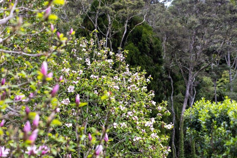 Photo of property in 60 Robinson Road, Coatesville, Albany, 0793