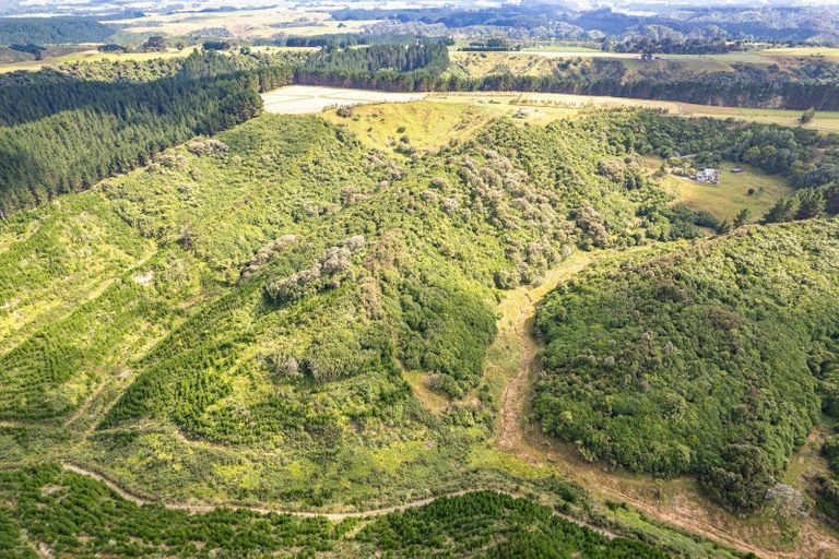 Photo of property in 306 Campbell Road, Brunswick, Whanganui, 4571