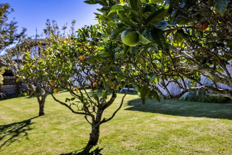 Photo of property in 58 Bayly Road, Blagdon, New Plymouth, 4310