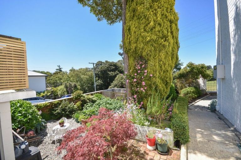 Photo of property in 20 Parkhill Avenue, Mornington, Dunedin, 9011