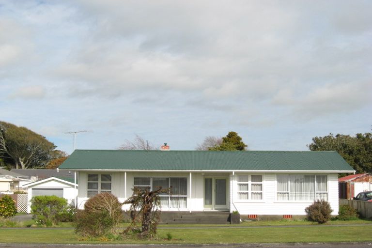 Photo of property in 5 Seyton Street, Stratford, 4332