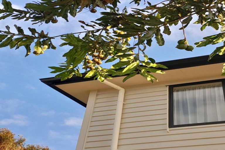 Photo of property in 36a Jandell Crescent, Bucklands Beach, Auckland, 2014