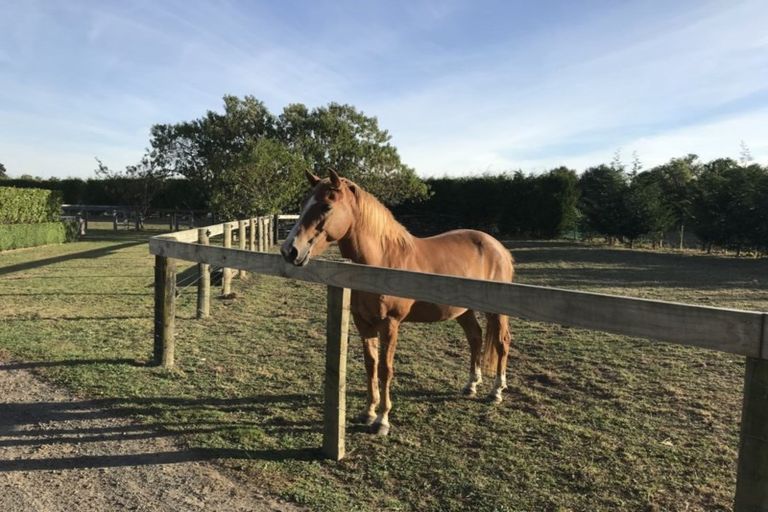 Photo of property in 121 Hunter Road, Eureka, Hamilton, 3287