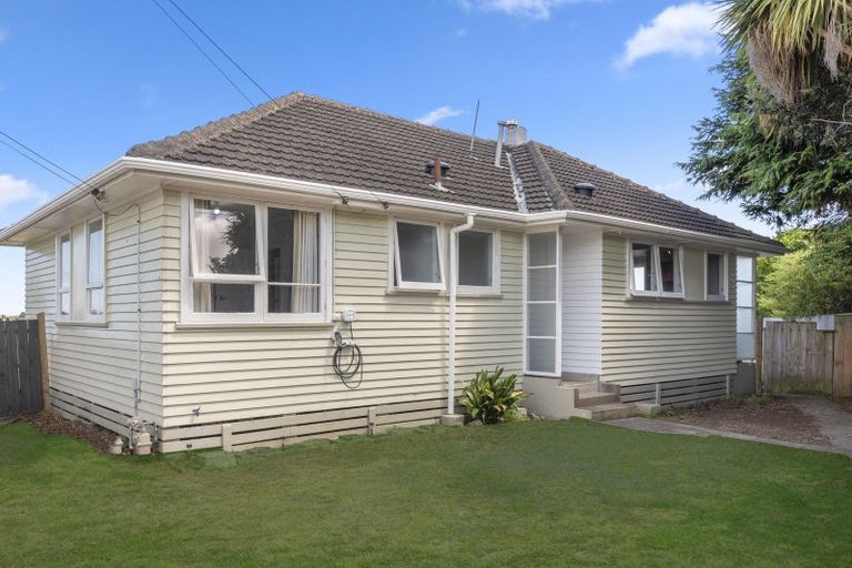Photo of property in 24 Mahoe Street, Levin, 5510