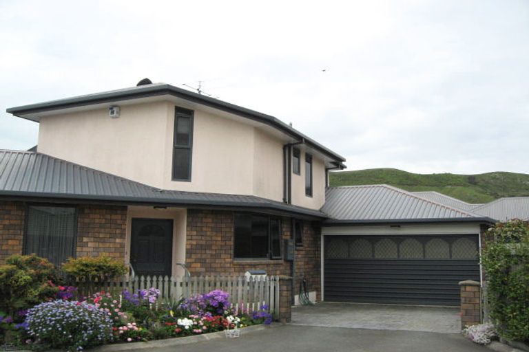 Photo of property in 4 Monopoli Way, The Wood, Nelson, 7010